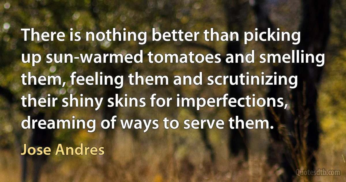 There is nothing better than picking up sun-warmed tomatoes and smelling them, feeling them and scrutinizing their shiny skins for imperfections, dreaming of ways to serve them. (Jose Andres)