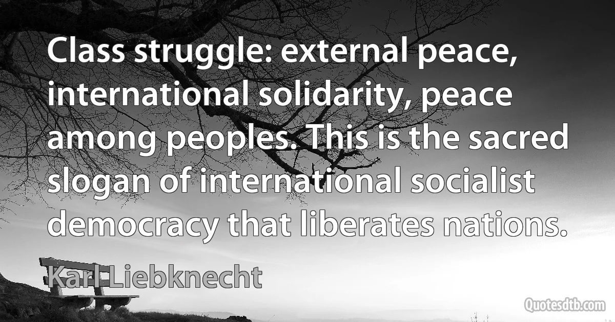 Class struggle: external peace, international solidarity, peace among peoples. This is the sacred slogan of international socialist democracy that liberates nations. (Karl Liebknecht)