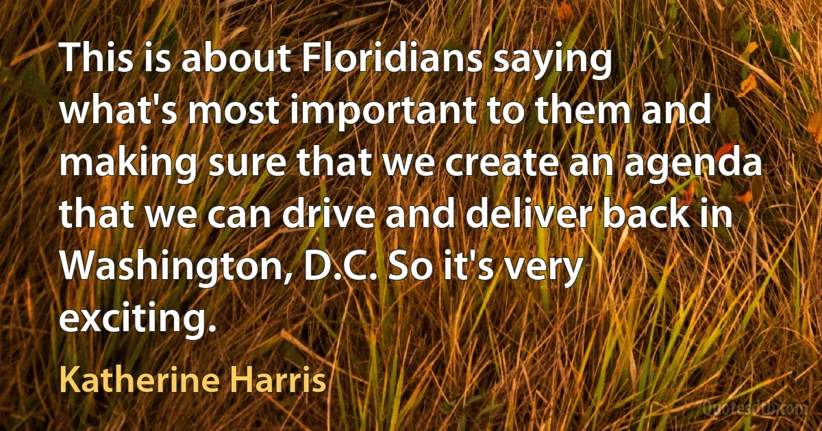 This is about Floridians saying what's most important to them and making sure that we create an agenda that we can drive and deliver back in Washington, D.C. So it's very exciting. (Katherine Harris)