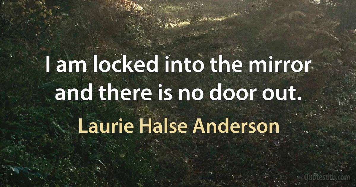 I am locked into the mirror and there is no door out. (Laurie Halse Anderson)