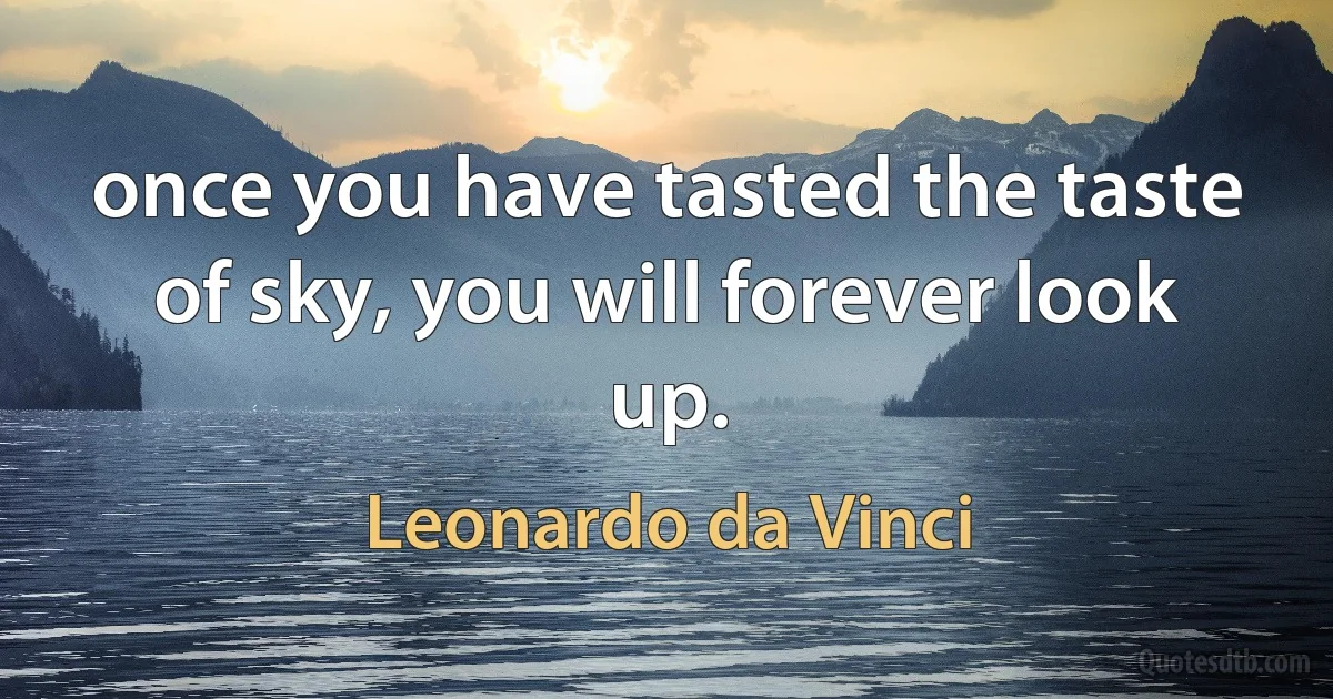 once you have tasted the taste of sky, you will forever look up. (Leonardo da Vinci)