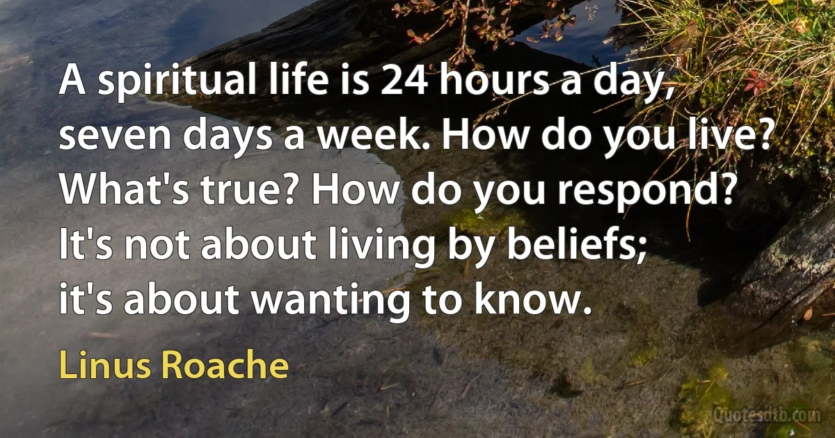 A spiritual life is 24 hours a day, seven days a week. How do you live? What's true? How do you respond? It's not about living by beliefs; it's about wanting to know. (Linus Roache)