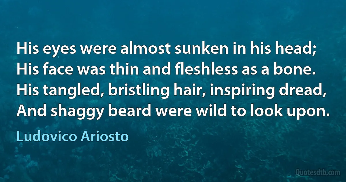 His eyes were almost sunken in his head;
His face was thin and fleshless as a bone.
His tangled, bristling hair, inspiring dread,
And shaggy beard were wild to look upon. (Ludovico Ariosto)