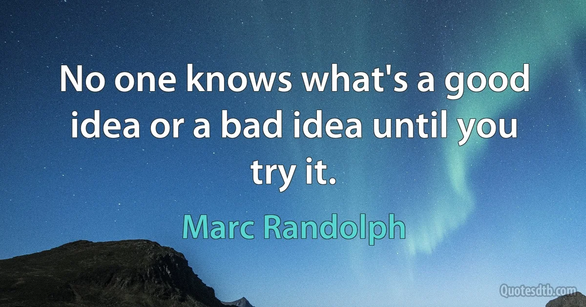 No one knows what's a good idea or a bad idea until you try it. (Marc Randolph)