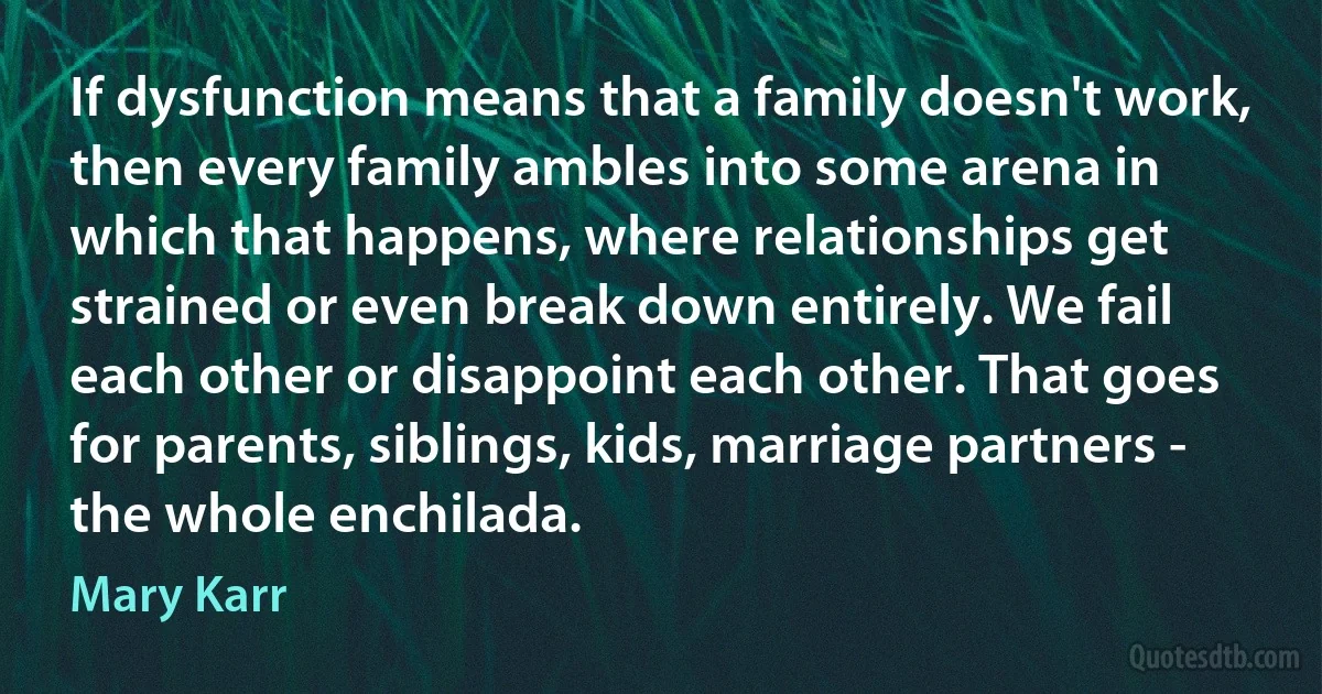 If dysfunction means that a family doesn't work, then every family ambles into some arena in which that happens, where relationships get strained or even break down entirely. We fail each other or disappoint each other. That goes for parents, siblings, kids, marriage partners - the whole enchilada. (Mary Karr)