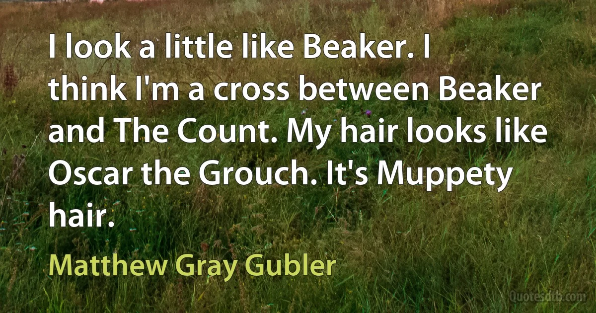 I look a little like Beaker. I think I'm a cross between Beaker and The Count. My hair looks like Oscar the Grouch. It's Muppety hair. (Matthew Gray Gubler)