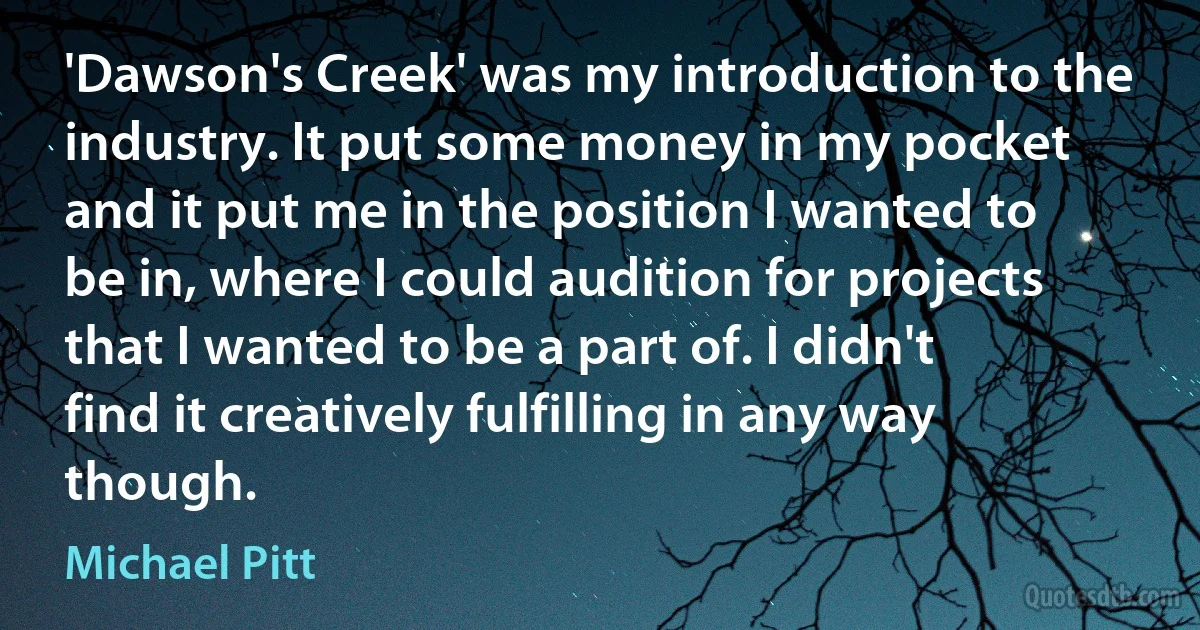 'Dawson's Creek' was my introduction to the industry. It put some money in my pocket and it put me in the position I wanted to be in, where I could audition for projects that I wanted to be a part of. I didn't find it creatively fulfilling in any way though. (Michael Pitt)