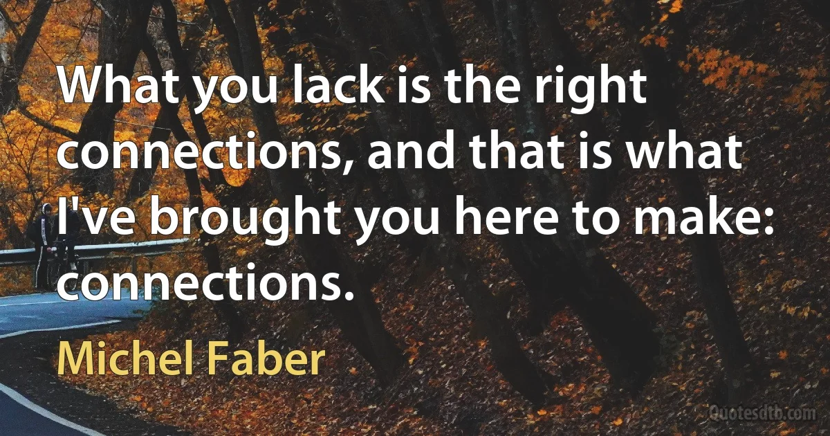 What you lack is the right connections, and that is what I've brought you here to make: connections. (Michel Faber)