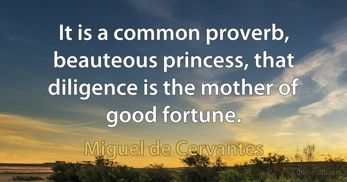 It is a common proverb, beauteous princess, that diligence is the mother of good fortune. (Miguel de Cervantes)