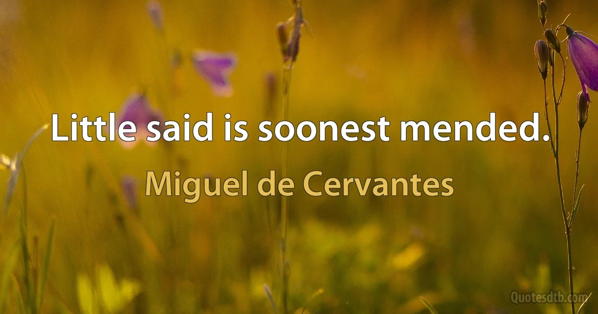 Little said is soonest mended. (Miguel de Cervantes)