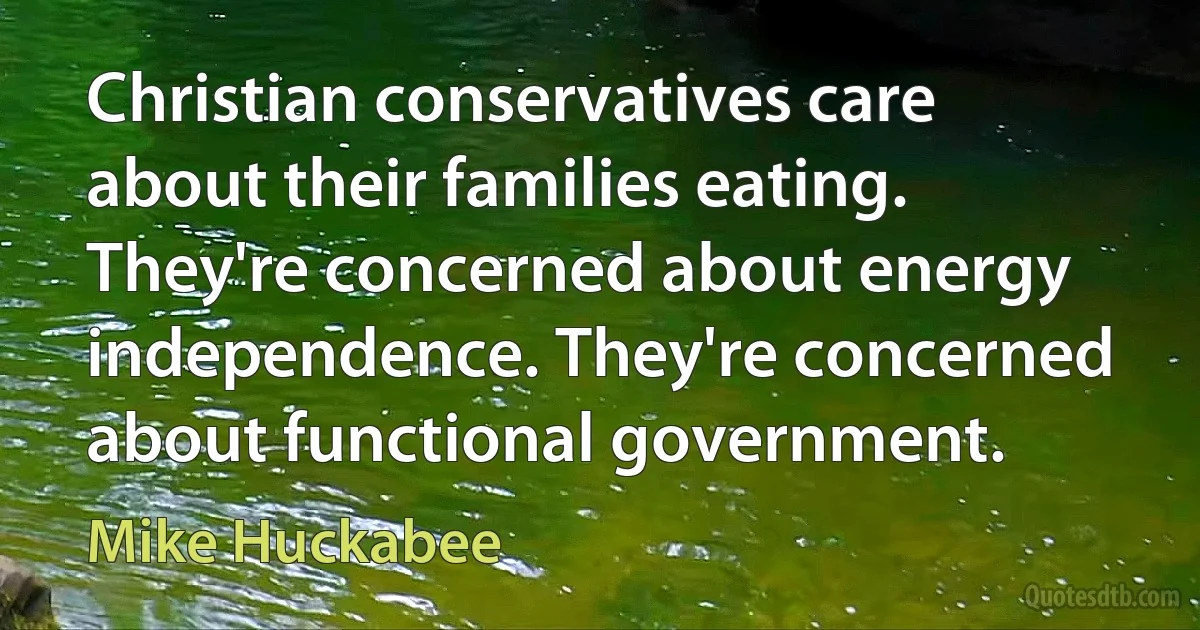 Christian conservatives care about their families eating. They're concerned about energy independence. They're concerned about functional government. (Mike Huckabee)