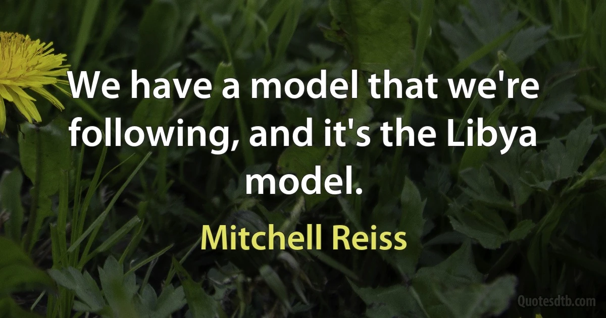 We have a model that we're following, and it's the Libya model. (Mitchell Reiss)