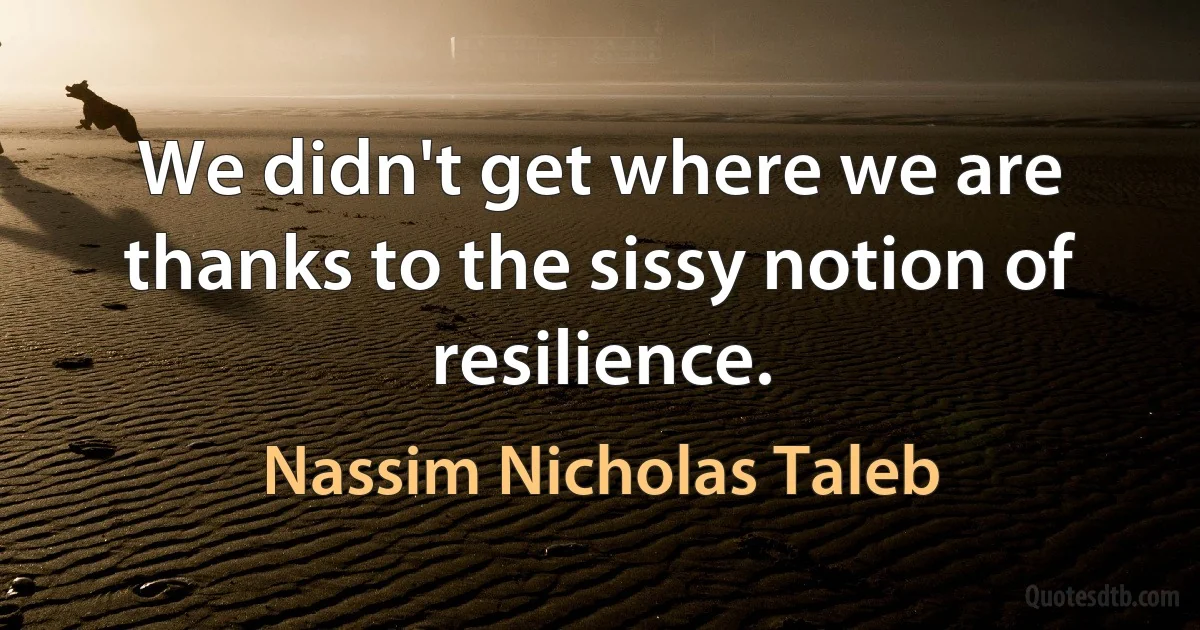 We didn't get where we are thanks to the sissy notion of resilience. (Nassim Nicholas Taleb)