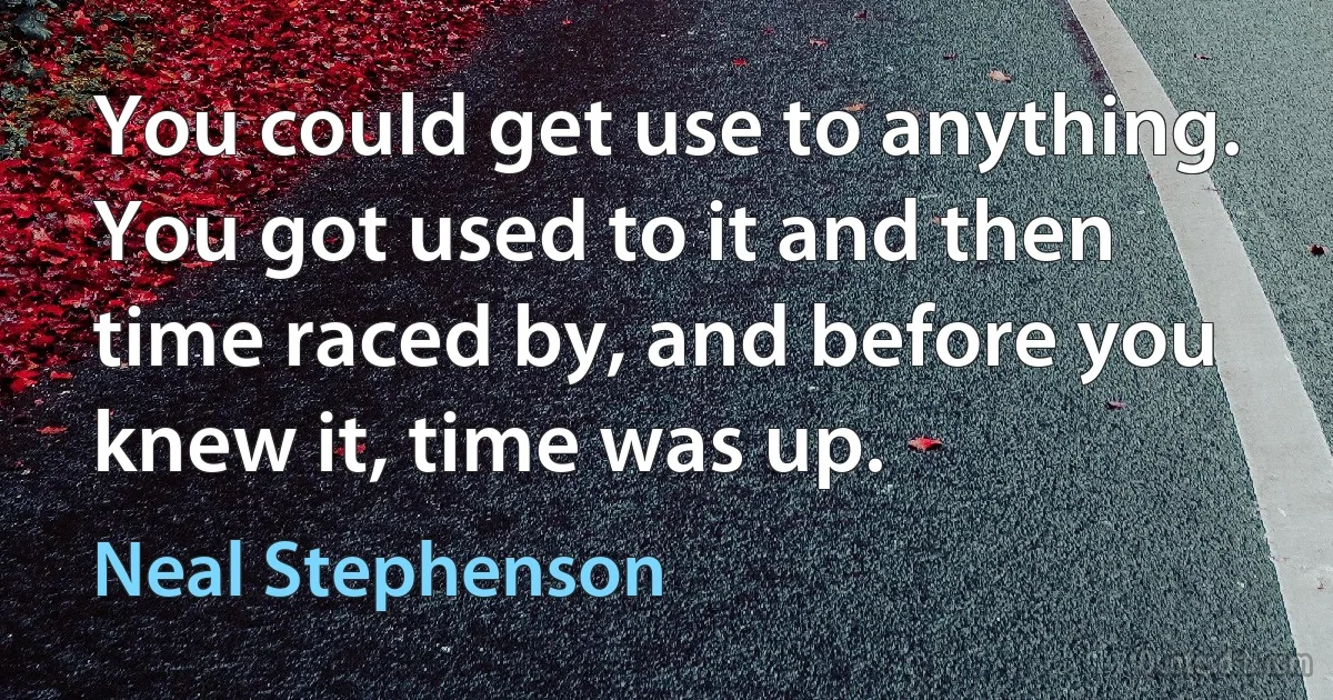 You could get use to anything. You got used to it and then time raced by, and before you knew it, time was up. (Neal Stephenson)