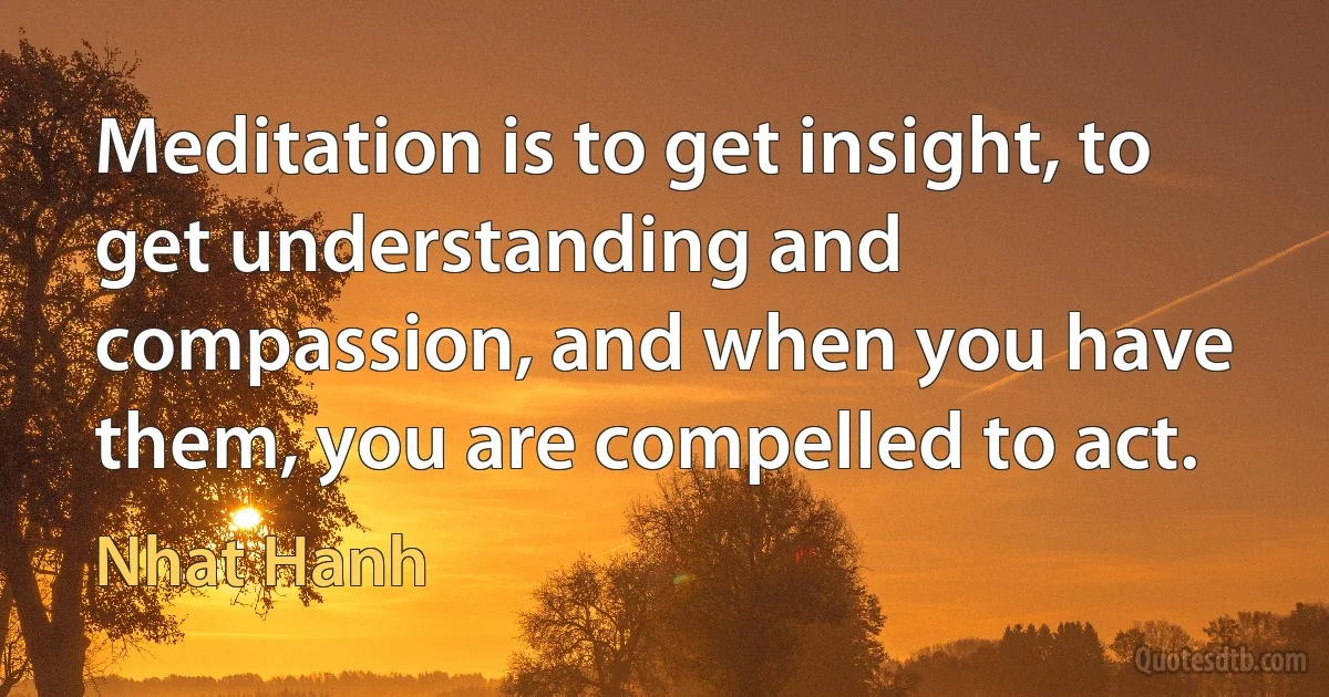 Meditation is to get insight, to get understanding and compassion, and when you have them, you are compelled to act. (Nhat Hanh)