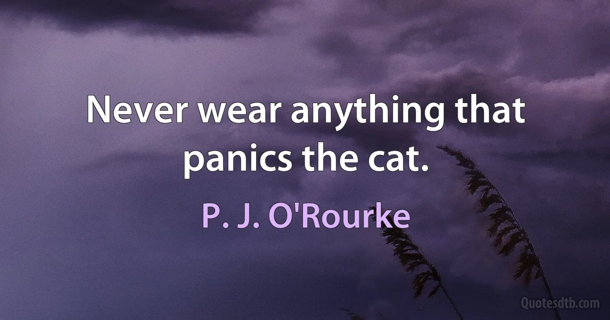 Never wear anything that panics the cat. (P. J. O'Rourke)