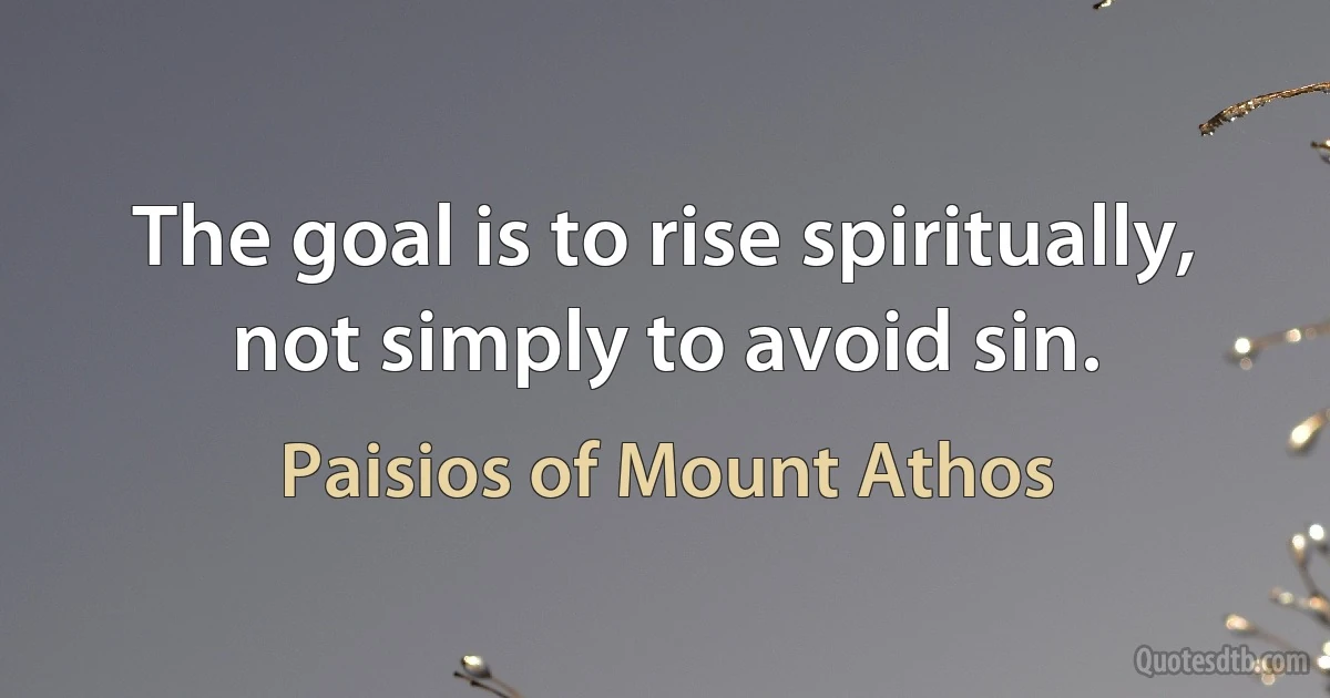 The goal is to rise spiritually, not simply to avoid sin. (Paisios of Mount Athos)