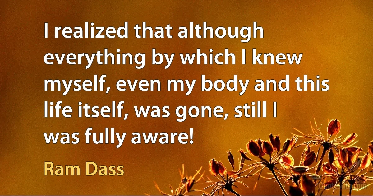 I realized that although everything by which I knew myself, even my body and this life itself, was gone, still I was fully aware! (Ram Dass)