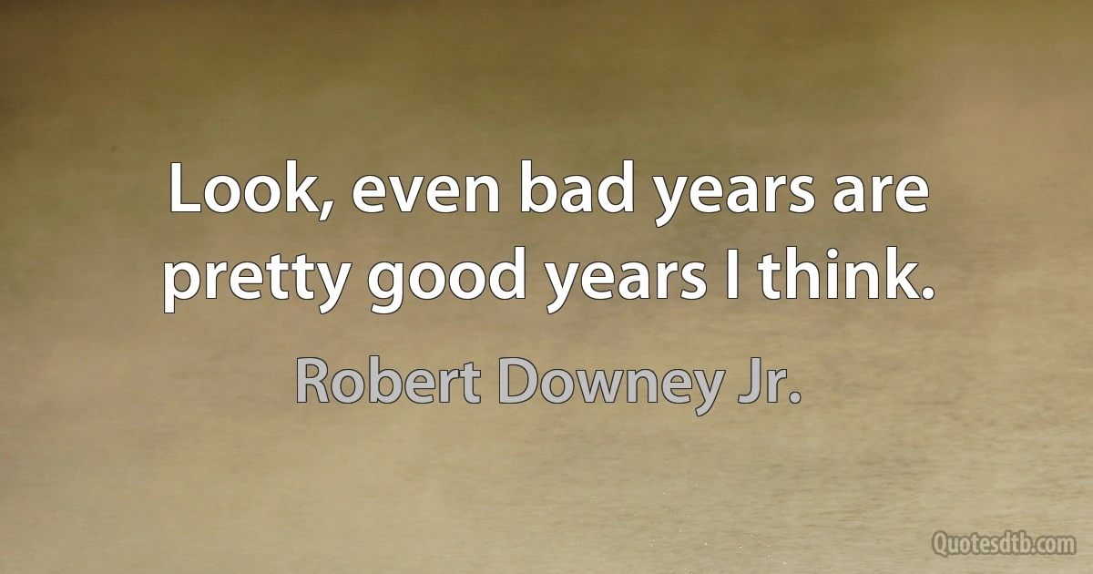 Look, even bad years are pretty good years I think. (Robert Downey Jr.)