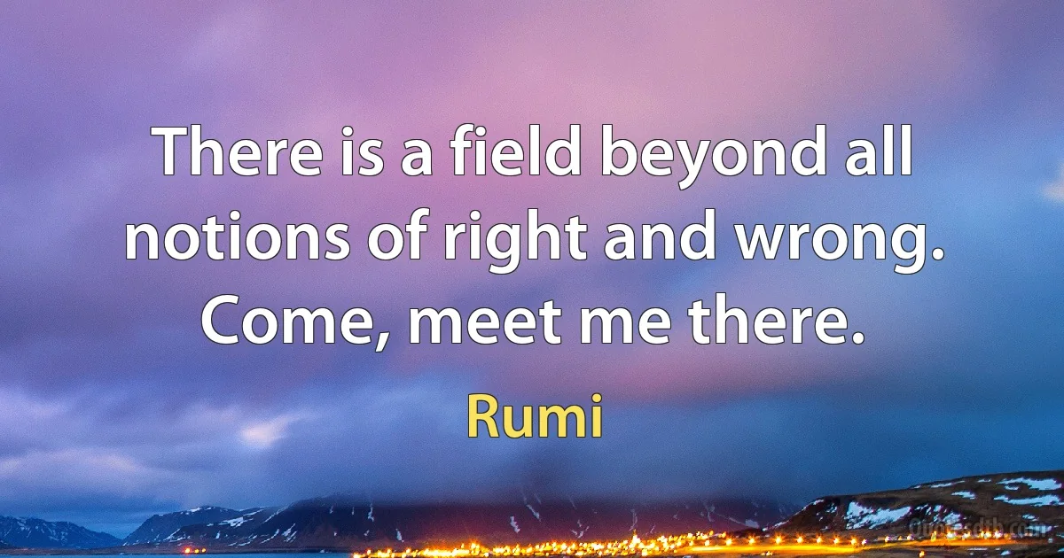 There is a field beyond all notions of right and wrong. Come, meet me there. (Rumi)