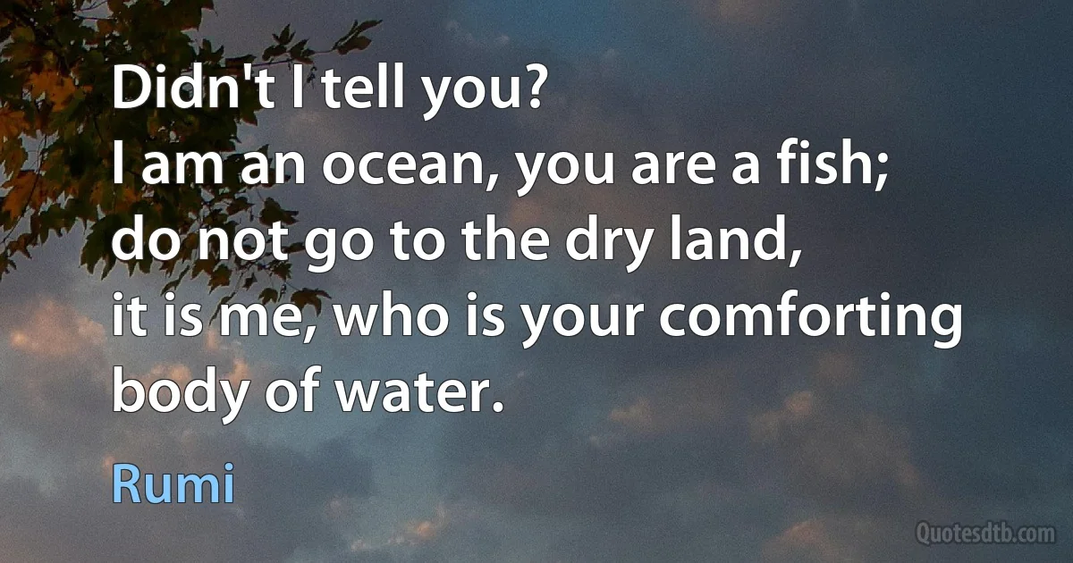 Didn't I tell you?
I am an ocean, you are a fish;
do not go to the dry land,
it is me, who is your comforting body of water. (Rumi)