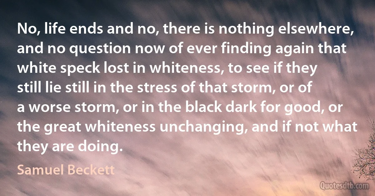 No, life ends and no, there is nothing elsewhere, and no question now of ever finding again that white speck lost in whiteness, to see if they still lie still in the stress of that storm, or of a worse storm, or in the black dark for good, or the great whiteness unchanging, and if not what they are doing. (Samuel Beckett)