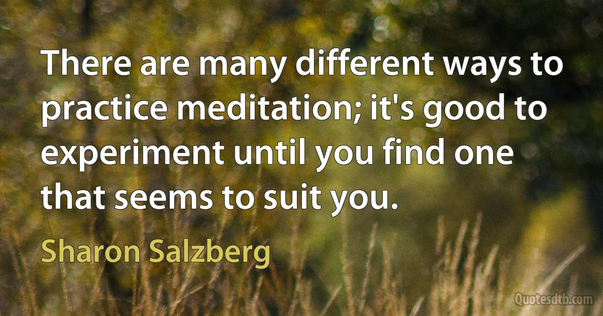 There are many different ways to practice meditation; it's good to experiment until you find one that seems to suit you. (Sharon Salzberg)