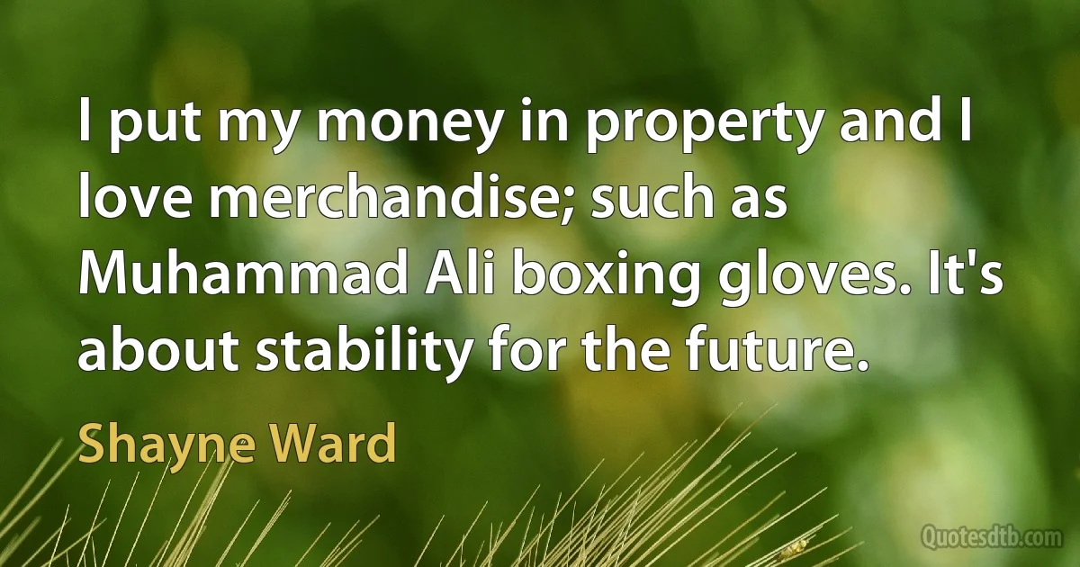 I put my money in property and I love merchandise; such as Muhammad Ali boxing gloves. It's about stability for the future. (Shayne Ward)