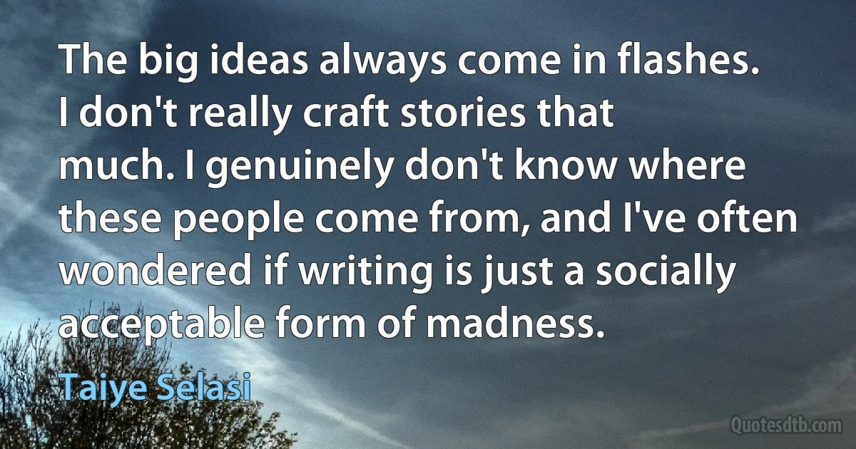 The big ideas always come in flashes. I don't really craft stories that much. I genuinely don't know where these people come from, and I've often wondered if writing is just a socially acceptable form of madness. (Taiye Selasi)