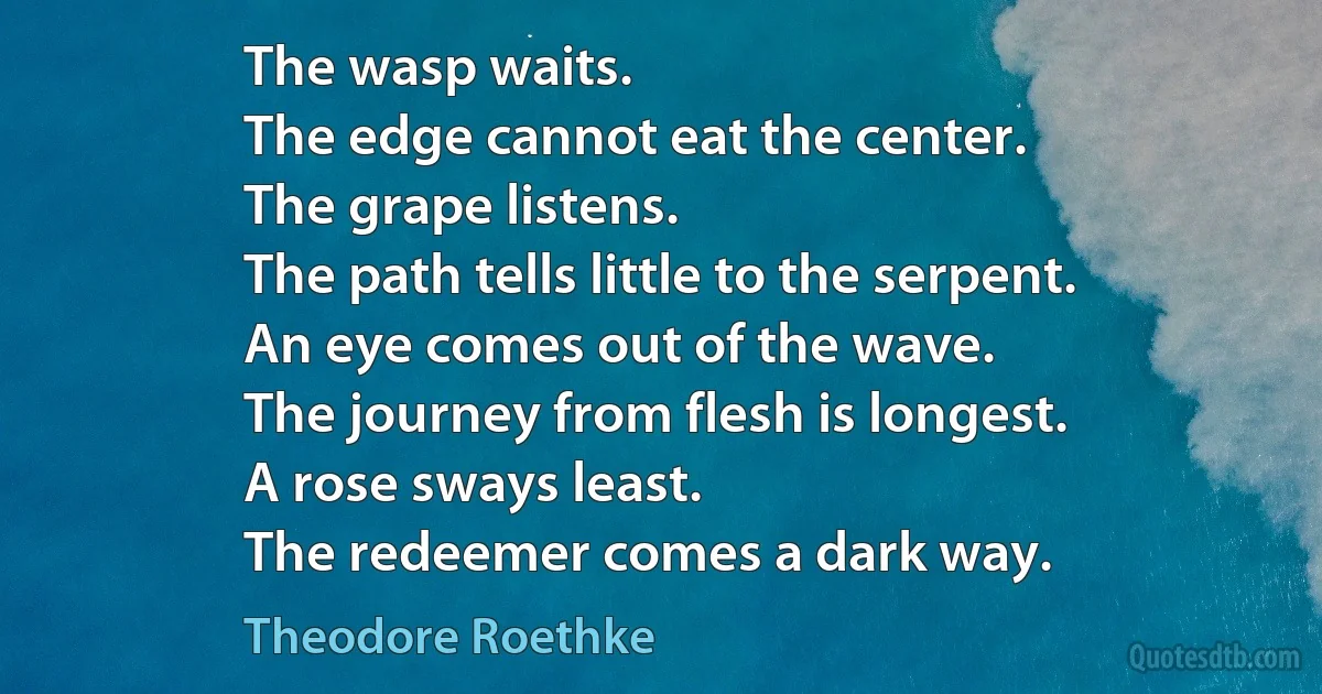 The wasp waits.
The edge cannot eat the center.
The grape listens.
The path tells little to the serpent.
An eye comes out of the wave.
The journey from flesh is longest.
A rose sways least.
The redeemer comes a dark way. (Theodore Roethke)