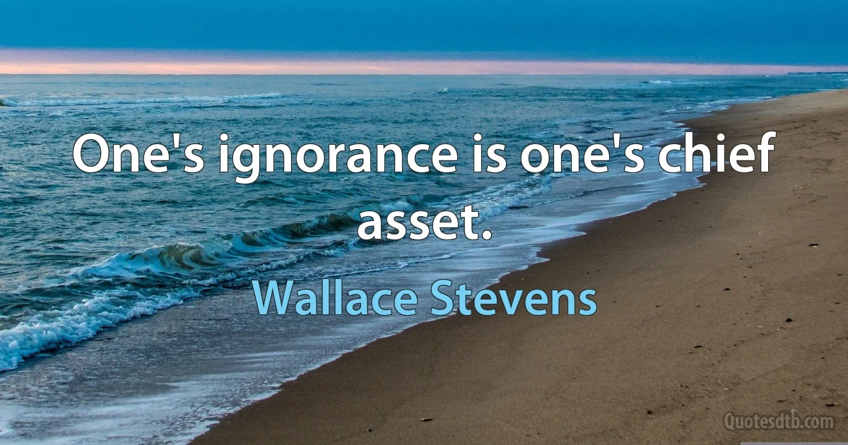 One's ignorance is one's chief asset. (Wallace Stevens)