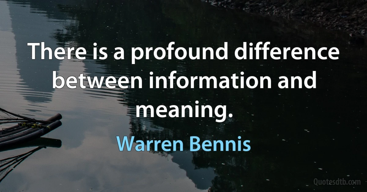 There is a profound difference between information and meaning. (Warren Bennis)