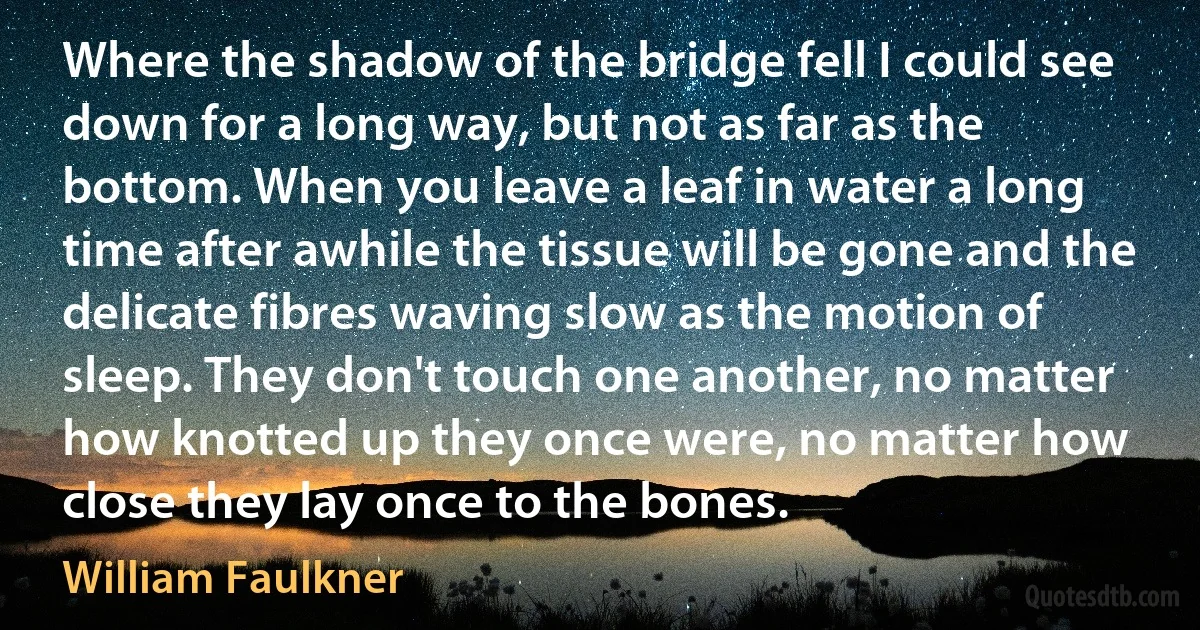 Where the shadow of the bridge fell I could see down for a long way, but not as far as the bottom. When you leave a leaf in water a long time after awhile the tissue will be gone and the delicate fibres waving slow as the motion of sleep. They don't touch one another, no matter how knotted up they once were, no matter how close they lay once to the bones. (William Faulkner)