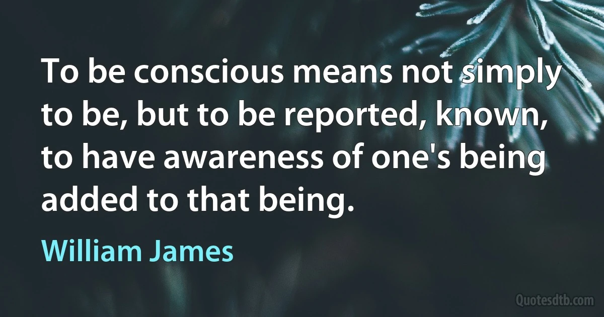 To be conscious means not simply to be, but to be reported, known, to have awareness of one's being added to that being. (William James)