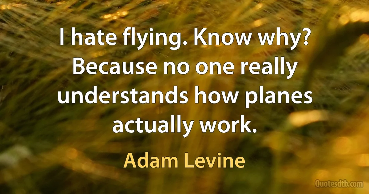 I hate flying. Know why? Because no one really understands how planes actually work. (Adam Levine)