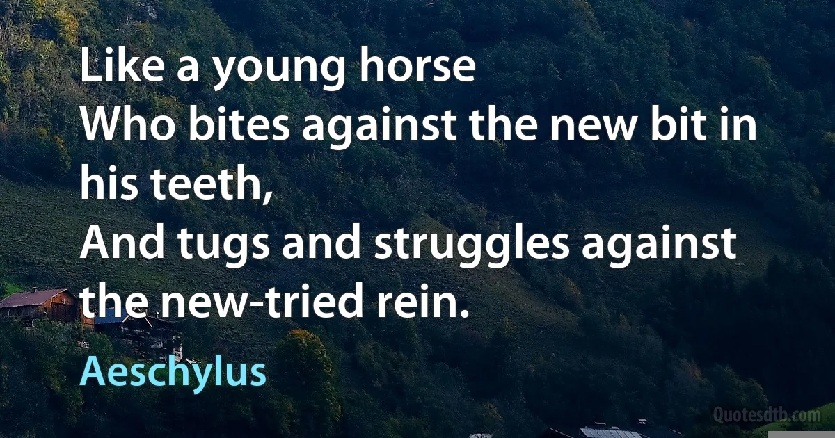 Like a young horse
Who bites against the new bit in his teeth,
And tugs and struggles against the new-tried rein. (Aeschylus)