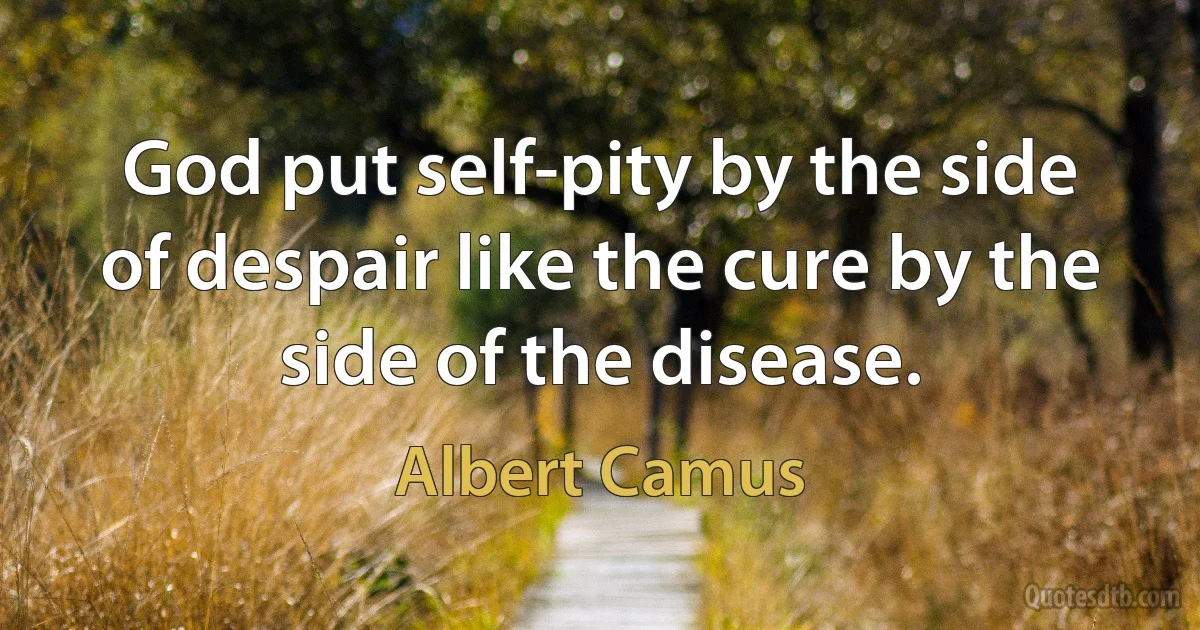 God put self-pity by the side of despair like the cure by the side of the disease. (Albert Camus)