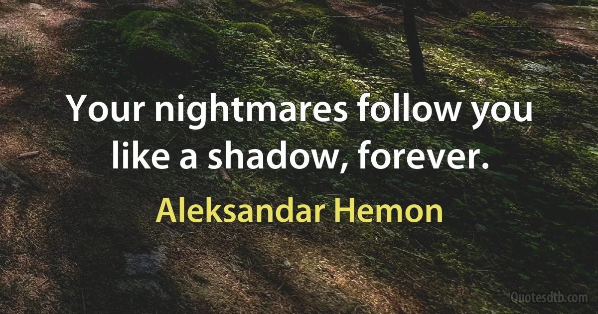 Your nightmares follow you like a shadow, forever. (Aleksandar Hemon)