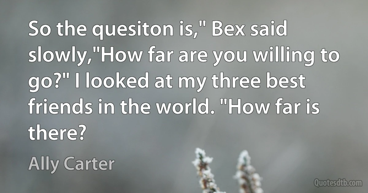 So the quesiton is," Bex said slowly,"How far are you willing to go?" I looked at my three best friends in the world. "How far is there? (Ally Carter)