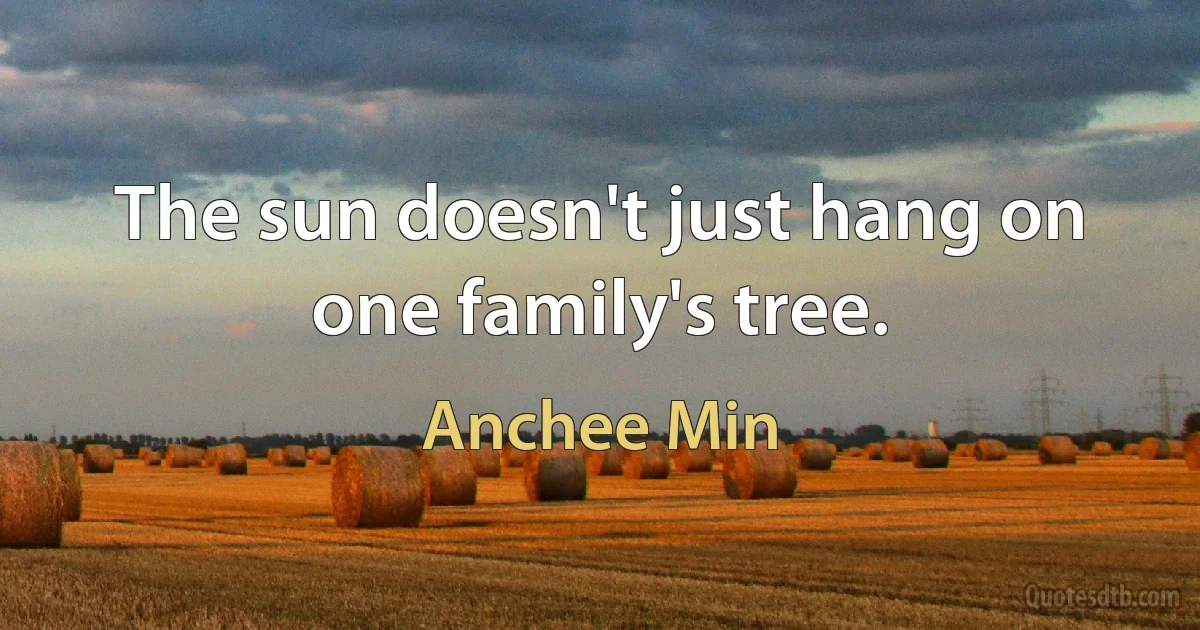 The sun doesn't just hang on one family's tree. (Anchee Min)