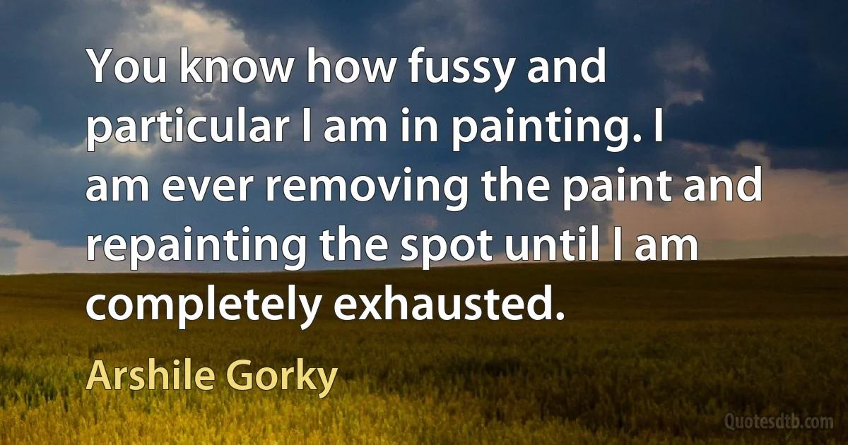 You know how fussy and particular I am in painting. I am ever removing the paint and repainting the spot until I am completely exhausted. (Arshile Gorky)