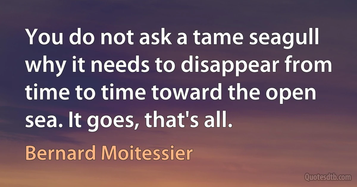 You do not ask a tame seagull why it needs to disappear from time to time toward the open sea. It goes, that's all. (Bernard Moitessier)