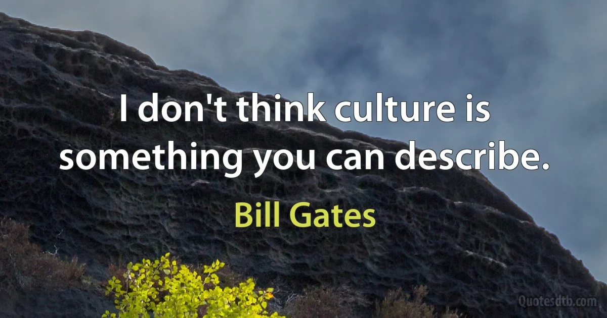 I don't think culture is something you can describe. (Bill Gates)