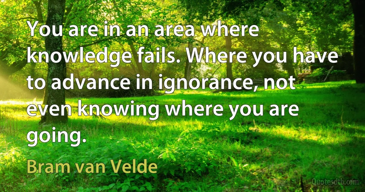 You are in an area where knowledge fails. Where you have to advance in ignorance, not even knowing where you are going. (Bram van Velde)