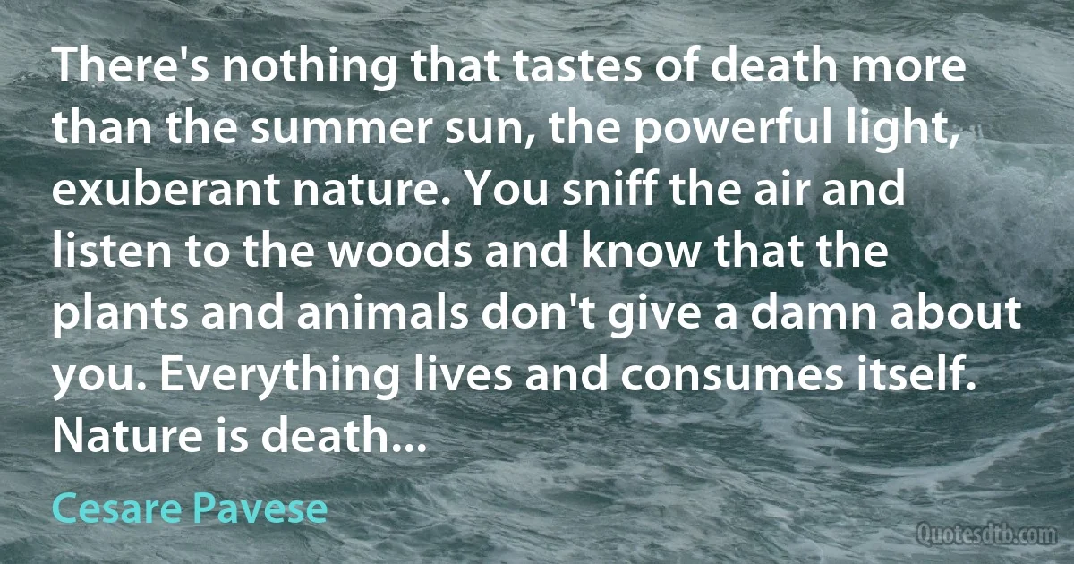 There's nothing that tastes of death more than the summer sun, the powerful light, exuberant nature. You sniff the air and listen to the woods and know that the plants and animals don't give a damn about you. Everything lives and consumes itself. Nature is death... (Cesare Pavese)