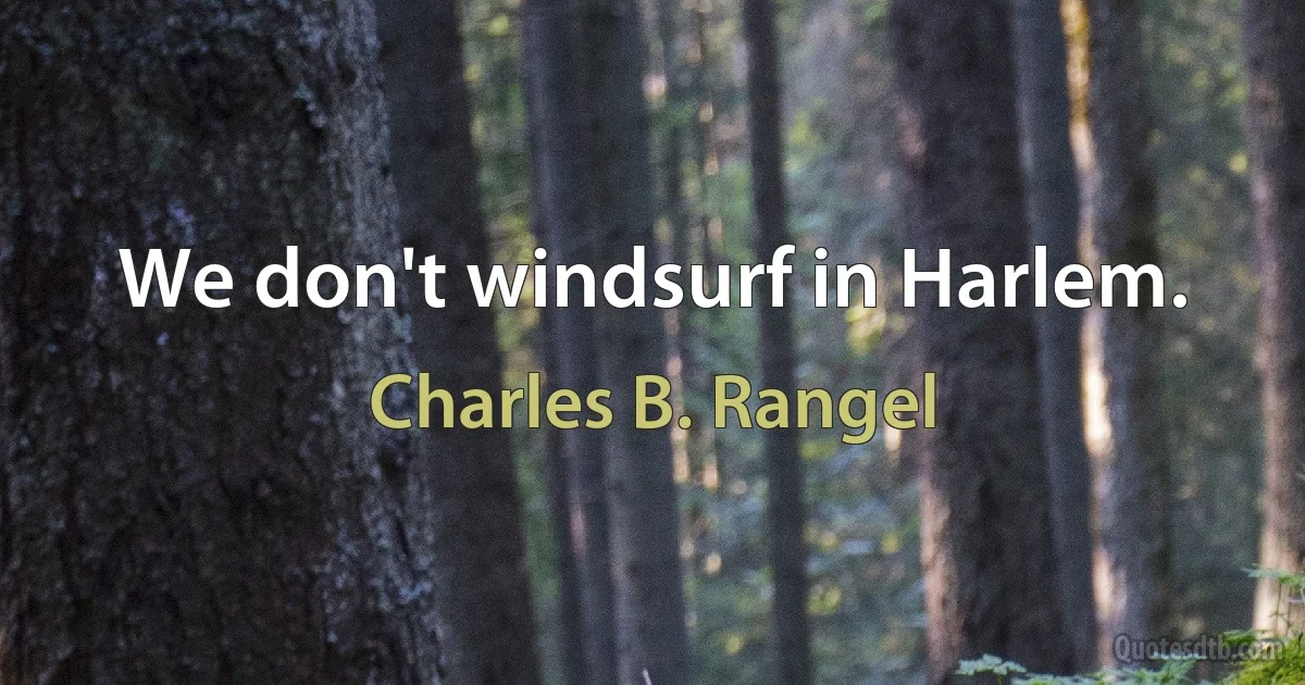 We don't windsurf in Harlem. (Charles B. Rangel)