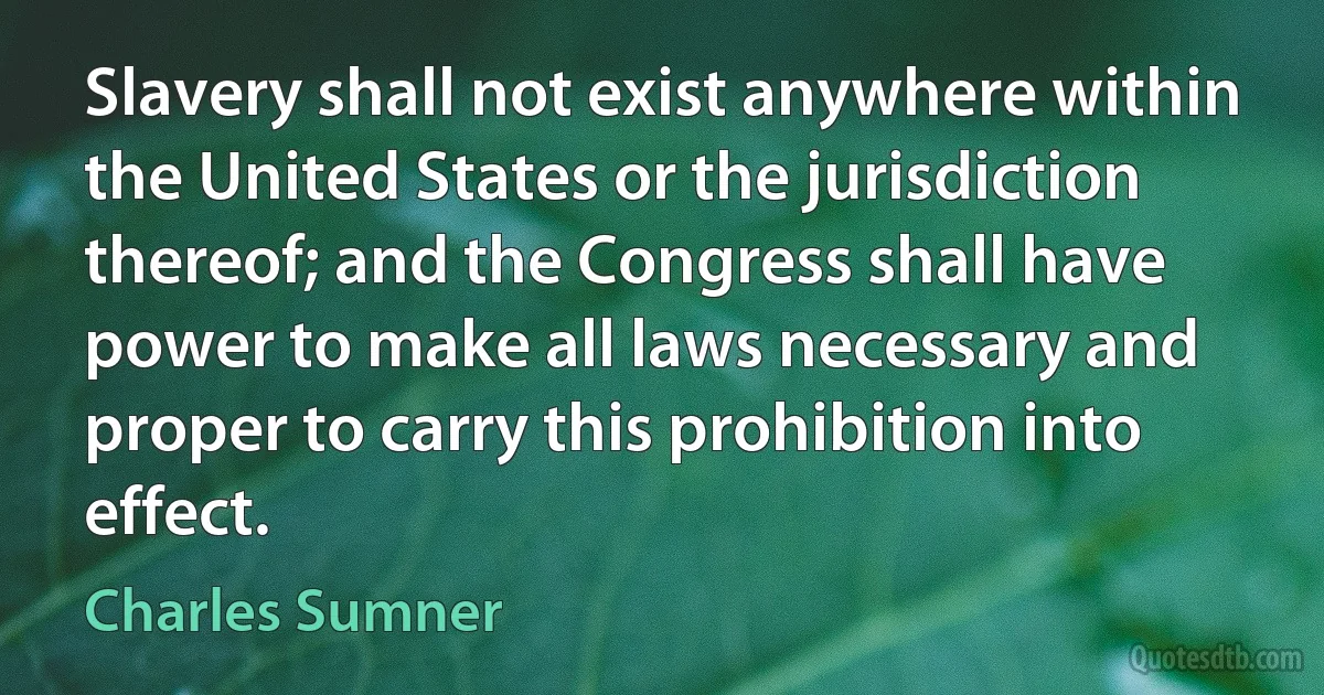 Slavery shall not exist anywhere within the United States or the jurisdiction thereof; and the Congress shall have power to make all laws necessary and proper to carry this prohibition into effect. (Charles Sumner)