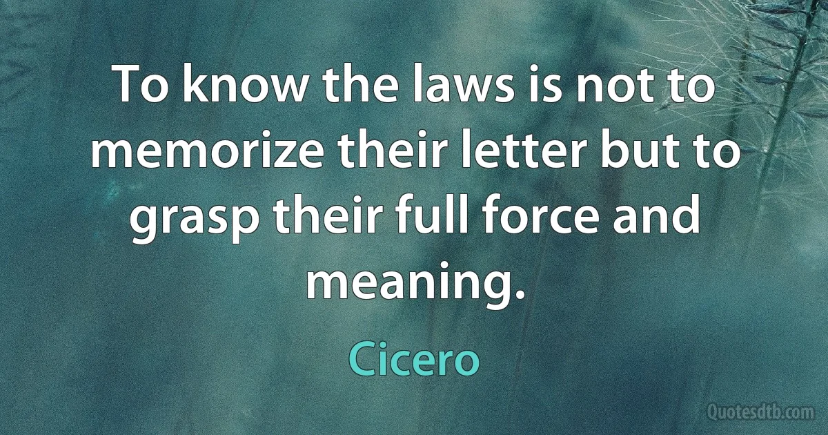 To know the laws is not to memorize their letter but to grasp their full force and meaning. (Cicero)