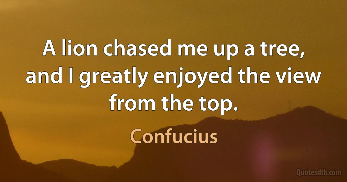 A lion chased me up a tree, and I greatly enjoyed the view from the top. (Confucius)