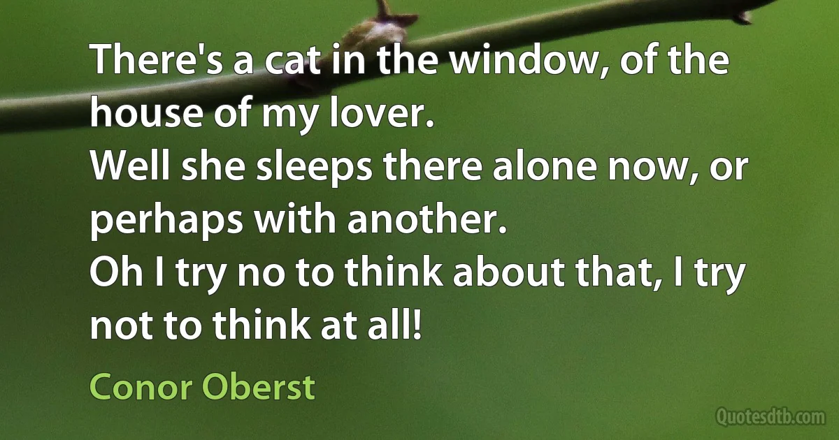 There's a cat in the window, of the house of my lover.
Well she sleeps there alone now, or perhaps with another.
Oh I try no to think about that, I try not to think at all! (Conor Oberst)